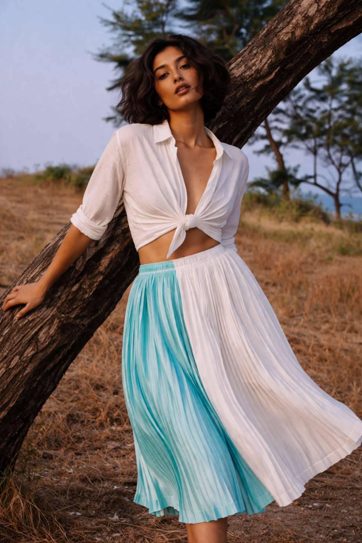 Blue & White Pleated Midi Skirt